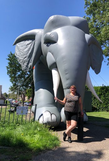 olifant 5 meter hoog