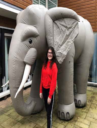 opblaasbare olifant 2,6 mtr